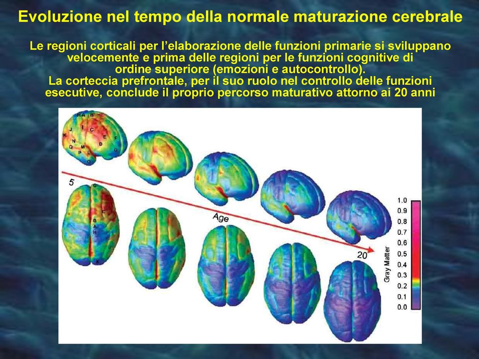 funzioni cognitive di ordine superiore (emozioni e autocontrollo).