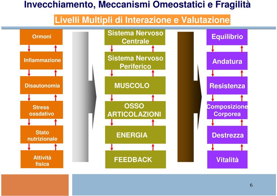 Nervoso Periferico Andatura Disautonomia MUSCOLO Resistenza Stress ossdativo OSSO