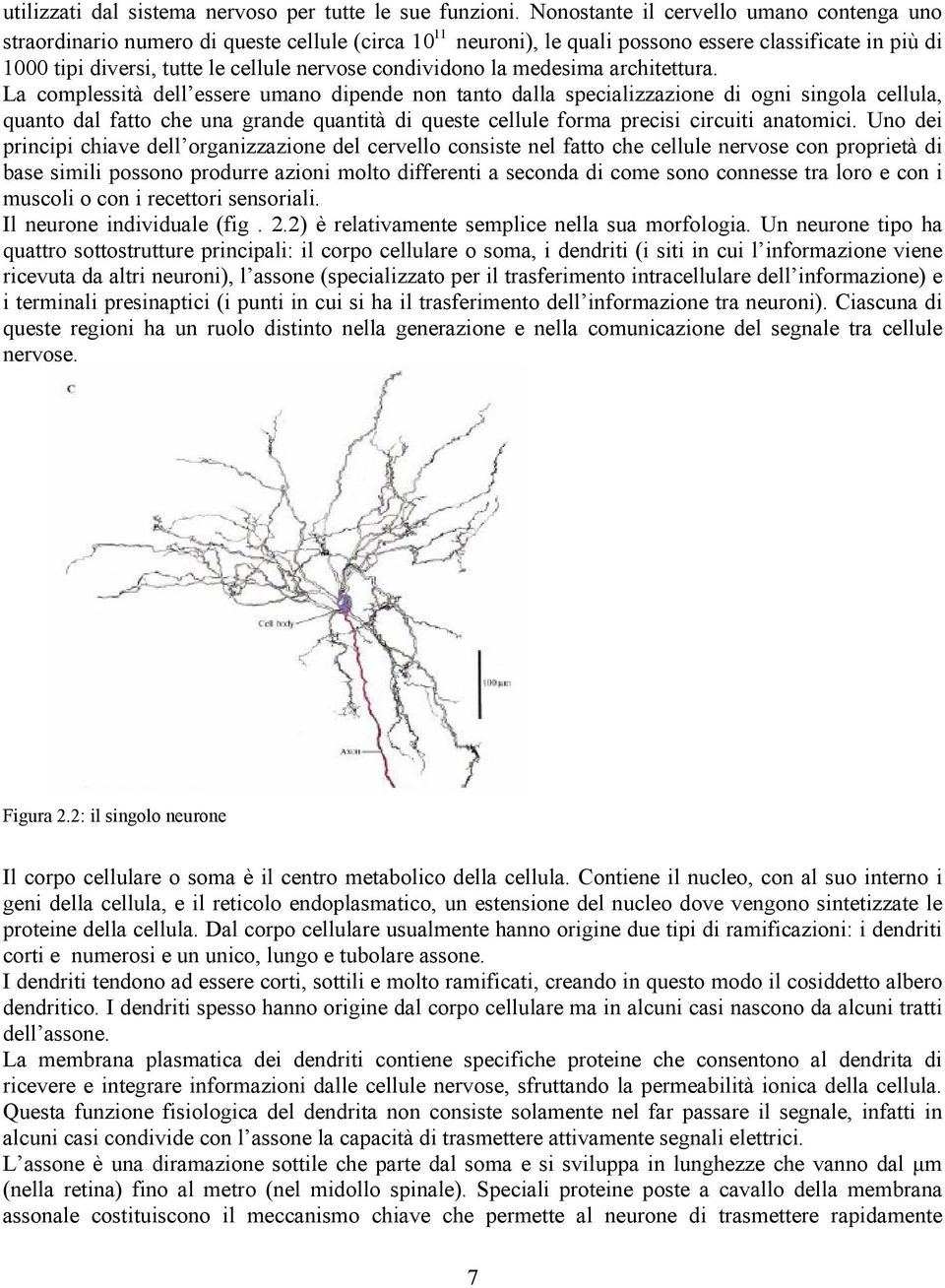 condividono la medesima architettura.