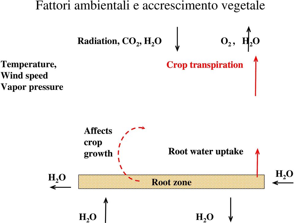 speed Vapor pressure Crop transpiration Affects