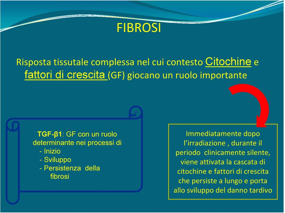 Persistenza della fibrosi Immediatamente dopo l irradiazione, durante il periodo clinicamente silente,