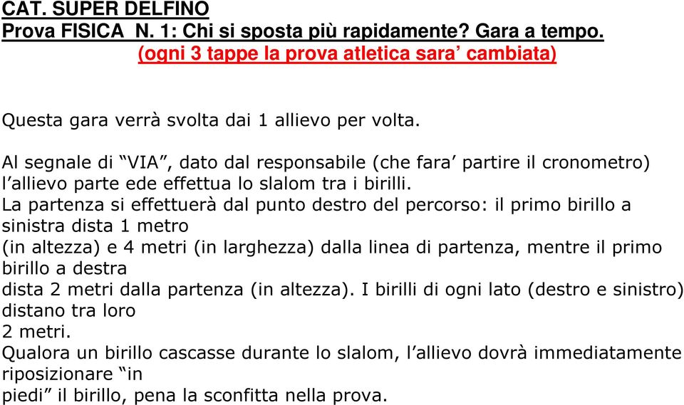 La partenza si effettuerà dal punto destro del percorso: il primo birillo a sinistra dista 1 metro (in altezza) e 4 metri (in larghezza) dalla linea di partenza, mentre il primo birillo a