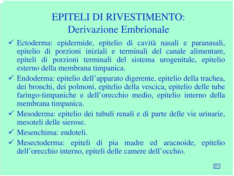 Endoderma: epitelio dell apparato digerente, epitelio della trachea, dei bronchi, dei polmoni, epitelio della vescica, epitelio delle tube faringo-timpaniche e dell orecchio medio,