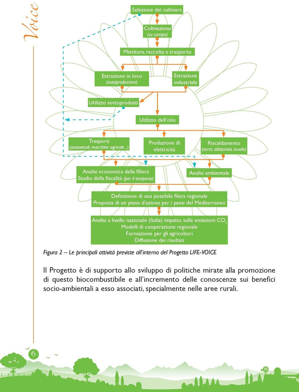 ..) Produzione di elettricità Riscaldamento (serre, abitazioni, scuole) Analisi economica della filiera Studio della fiscalità (per il trasporto) Analisi ambientale Definizione di una possibile