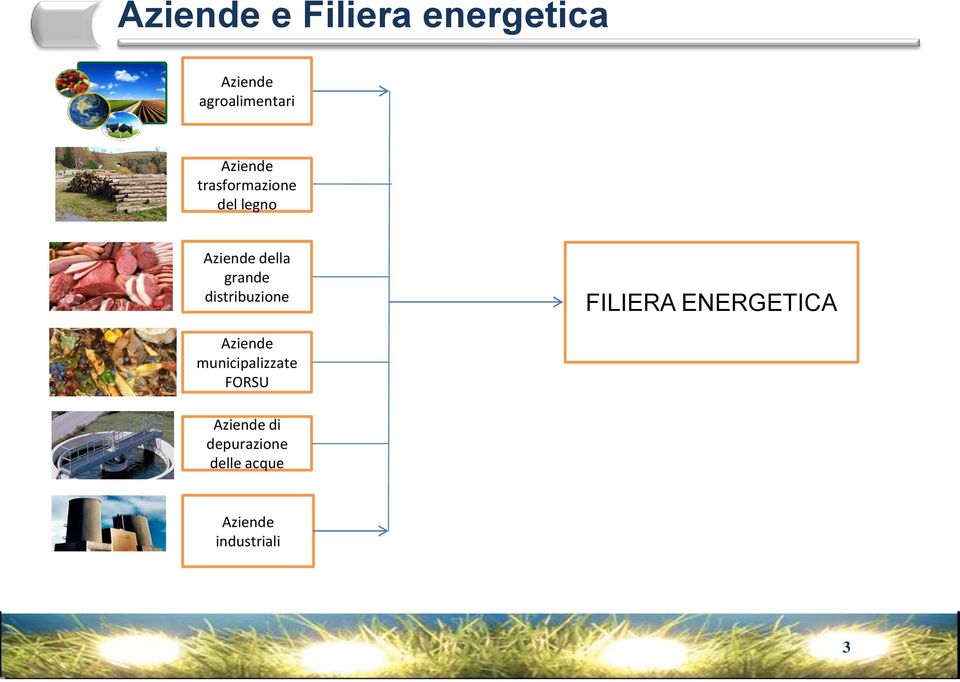 distribuzione FILIERA ENERGETICA Aziende municipalizzate