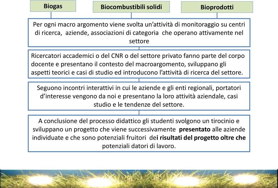 introducono l attività di ricerca del settore.