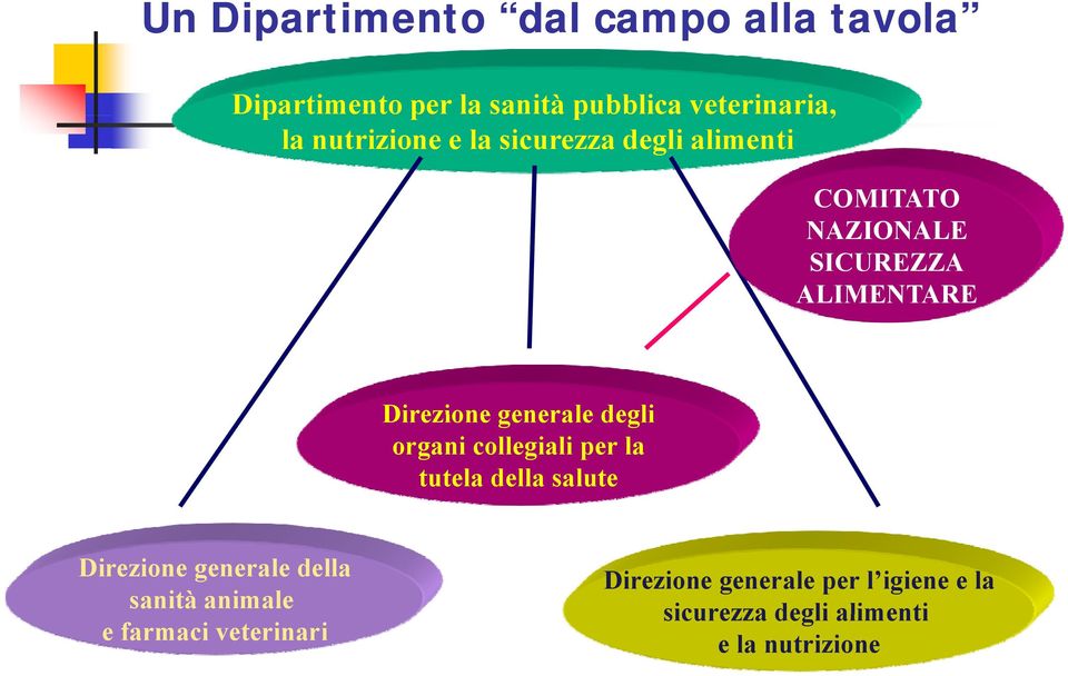 generale degli organi collegiali per la tutela della salute Direzione generale della sanità