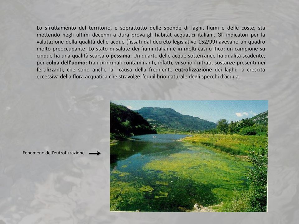 Lo stato di salute dei fiumi italiani è in molti casi critico: un campione su cinque ha una qualità scarsa o pessima.