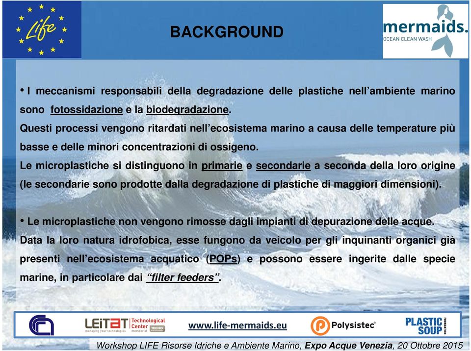 Le microplastiche si distinguono in primarie e secondarie a seconda della loro origine (le secondarie sono prodotte dalla degradazione di plastiche di maggiori dimensioni).