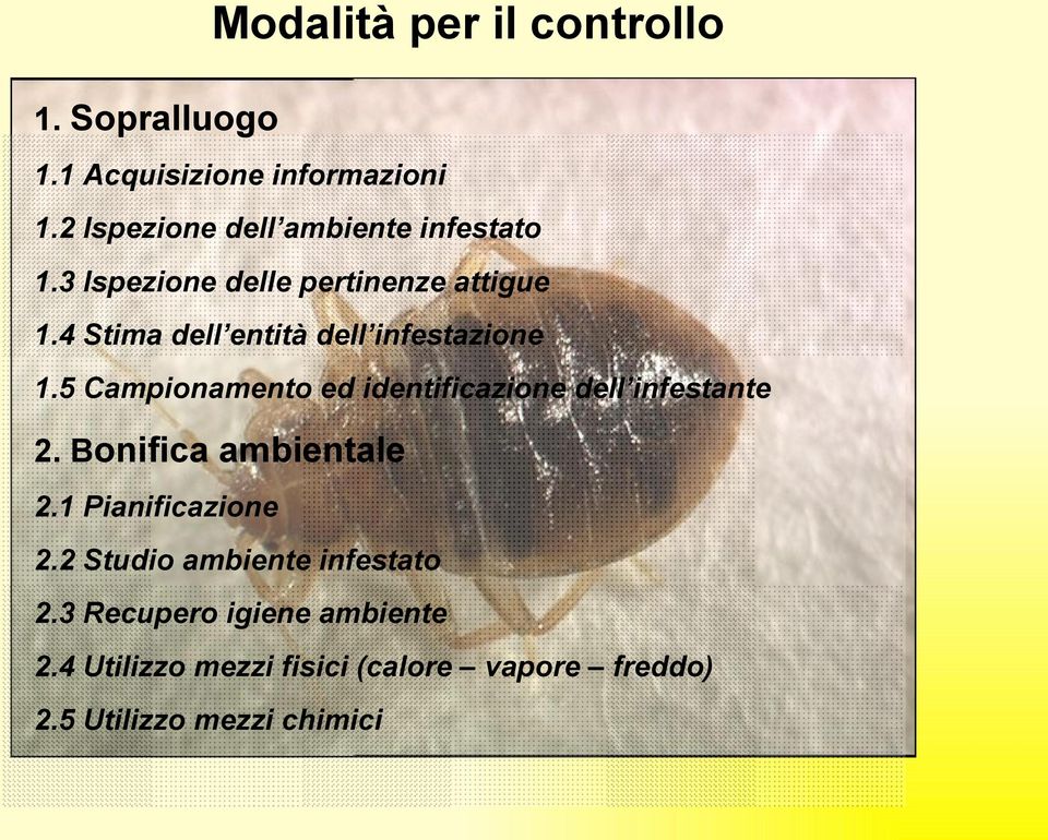 4 Stima dell entità dell infestazione 1.5 Campionamento ed identificazione dell infestante 2.