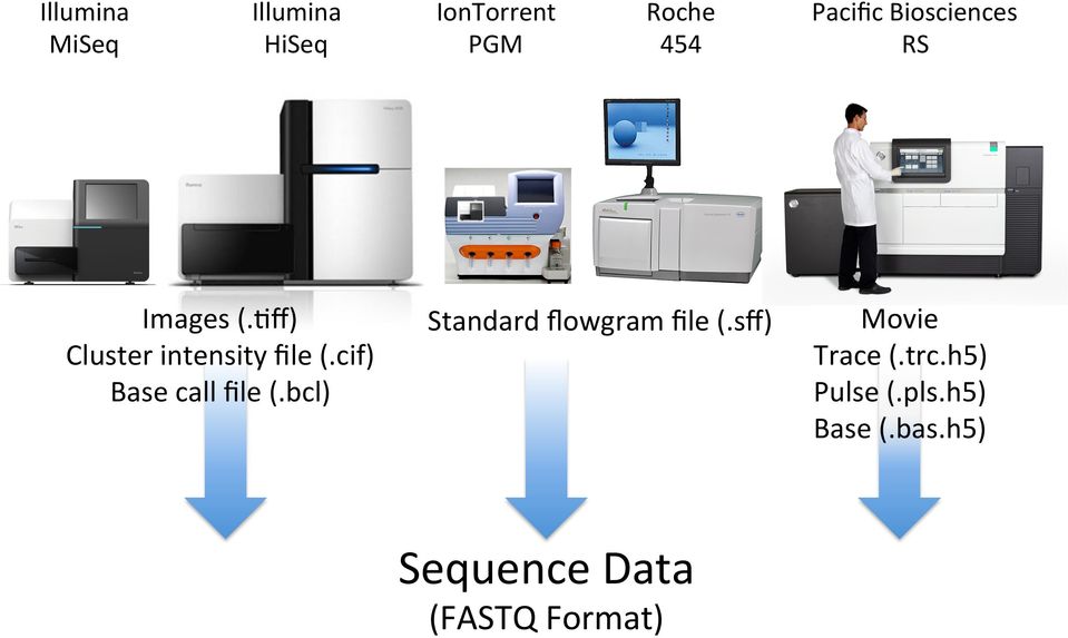 cif) Base call file (.bcl) Standard flowgram file (.