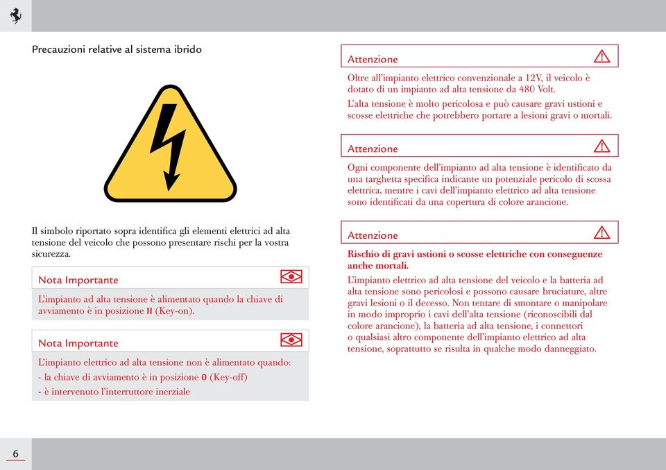 Ogni componente dell impianto ad alta tensione è identificato da una targhetta specifica indicante un potenziale pericolo di scossa elettrica, mentre i cavi dell impianto elettrico ad alta tensione