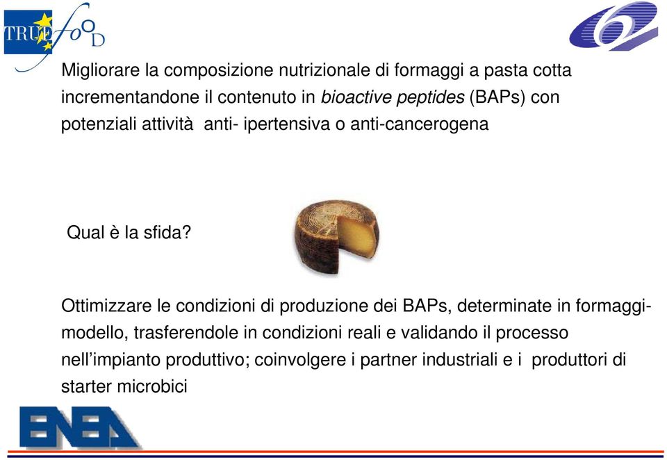 Ottimizzare le condizioni di produzione dei BAPs, determinate in formaggimodello, trasferendole in condizioni