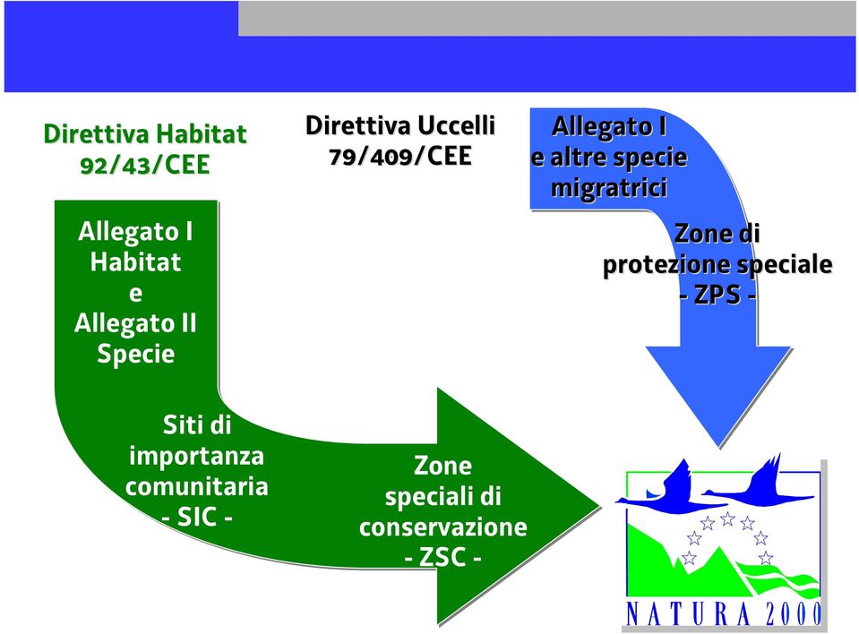 Direttiva Uccelli 79/409/CEE Zone speciali di conservazione -ZSC -