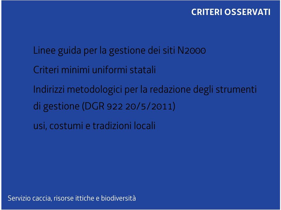 metodologici per la redazione degli strumenti di