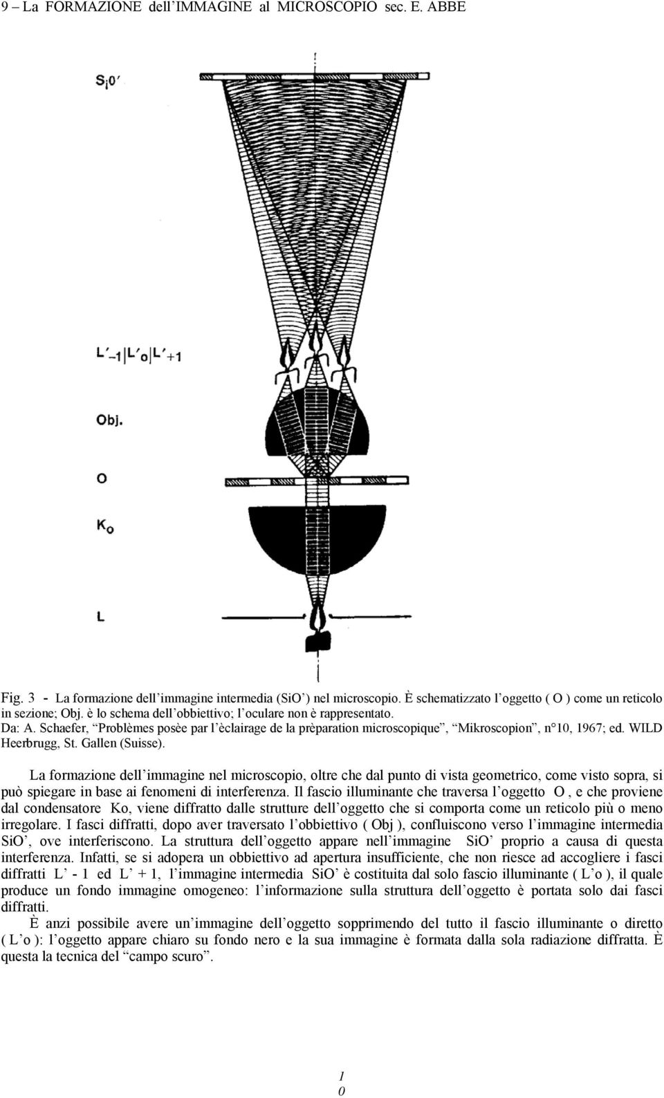 Gallen (Suisse). La formazione dell immagine nel microscopio, oltre che dal punto di vista geometrico, come visto sopra, si può spiegare in base ai fenomeni di interferenza.