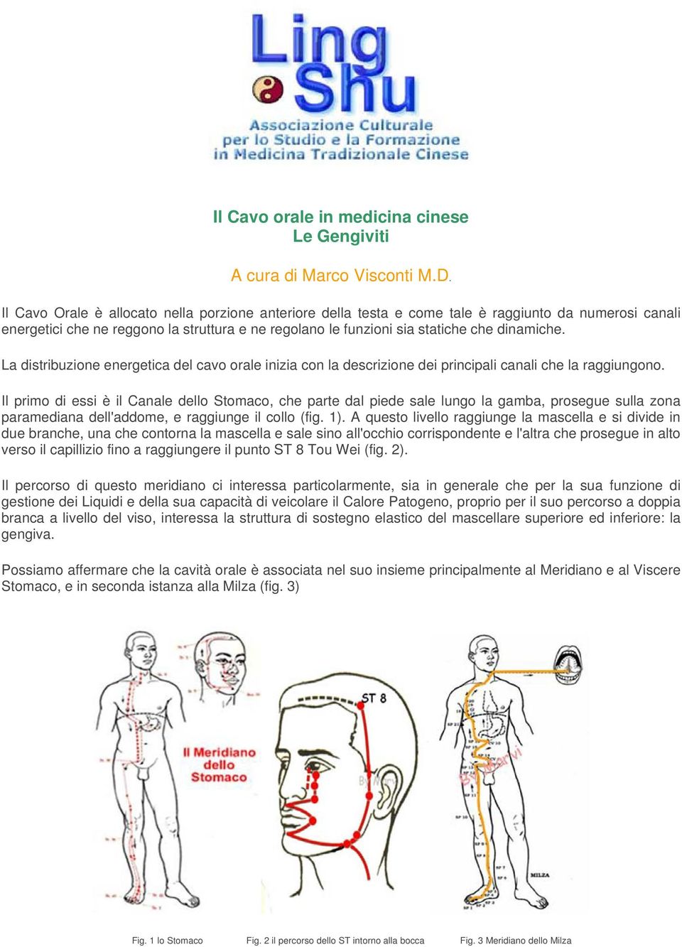 La distribuzione energetica del cavo orale inizia con la descrizione dei principali canali che la raggiungono.