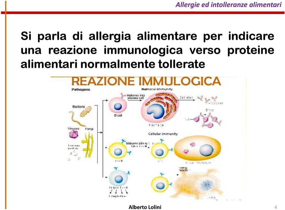 reazione immunologica verso