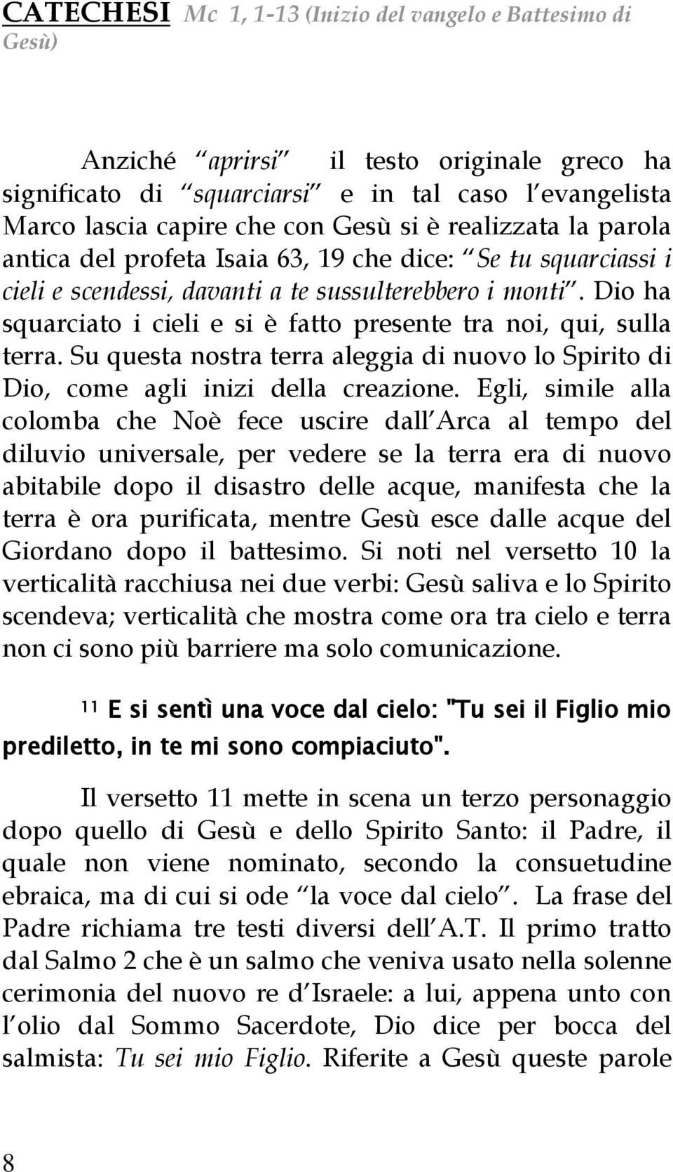 Su questa nostra terra aleggia di nuovo lo Spirito di Dio, come agli inizi della creazione.