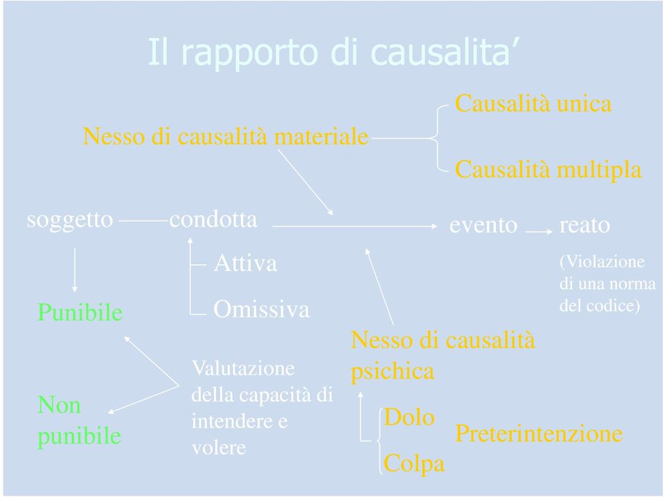 Valutazione della capacità di intendere e volere evento Nesso di causalità