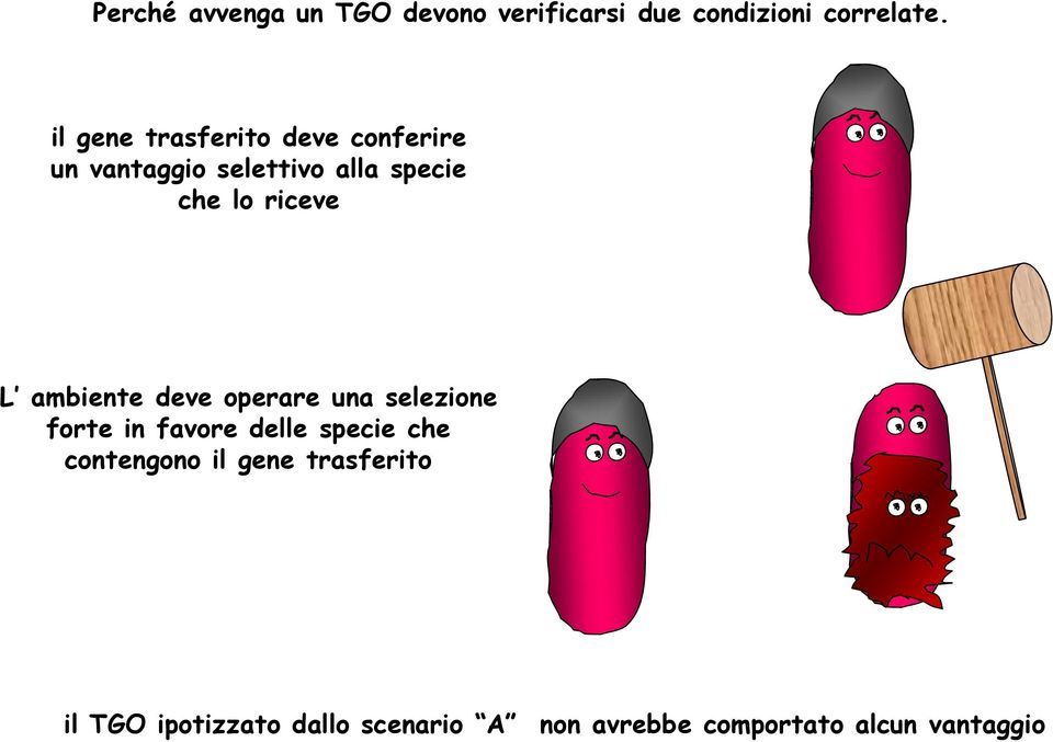 riceve L ambiente deve operare una selezione forte in favore delle specie che