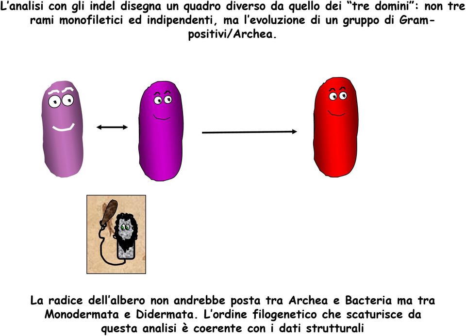 La radice dell albero non andrebbe posta tra Archea e Bacteria ma tra Monodermata e