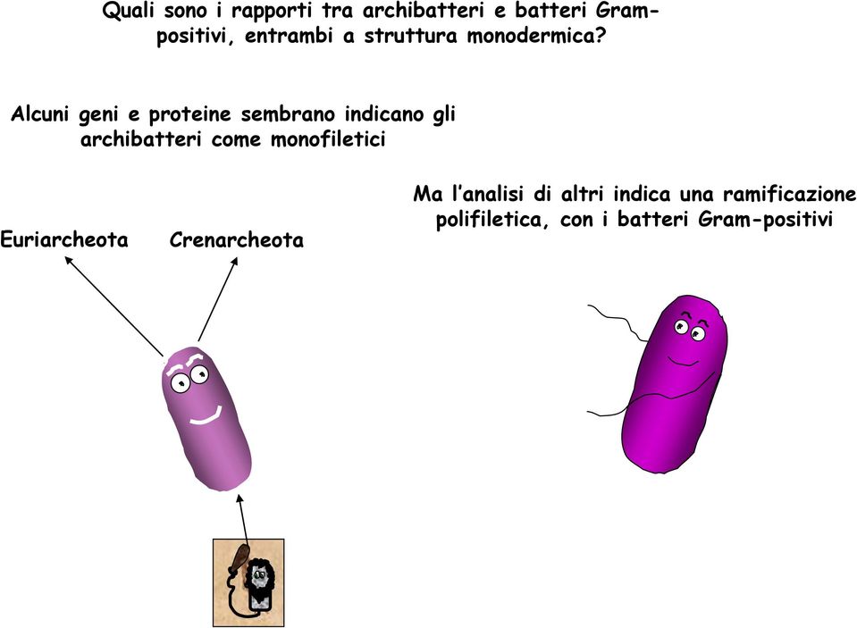 Alcuni geni e proteine sembrano indicano gli archibatteri come