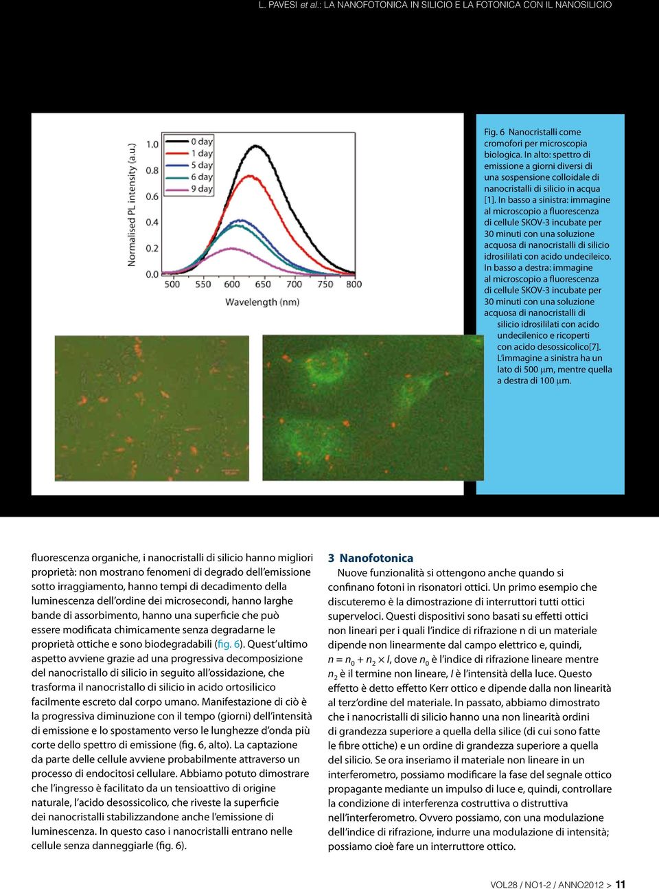 In basso a sinistra: immagine al microscopio a fluorescenza di cellule SKOV-3 incubate per 30 minuti con una soluzione acquosa di nanocristalli di silicio idrosililati con acido undecileico.