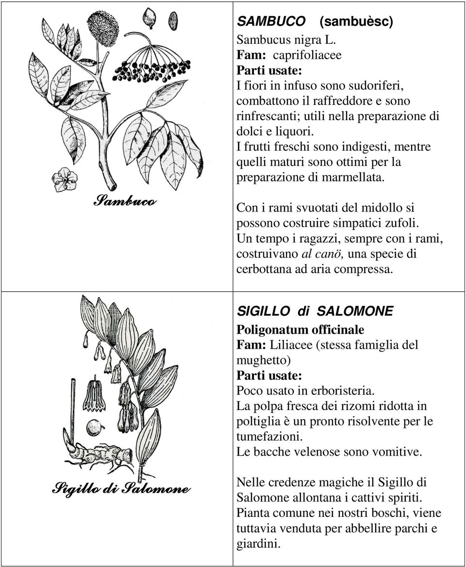 Un tempo i ragazzi, sempre con i rami, costruivano al canö, una specie di cerbottana ad aria compressa.