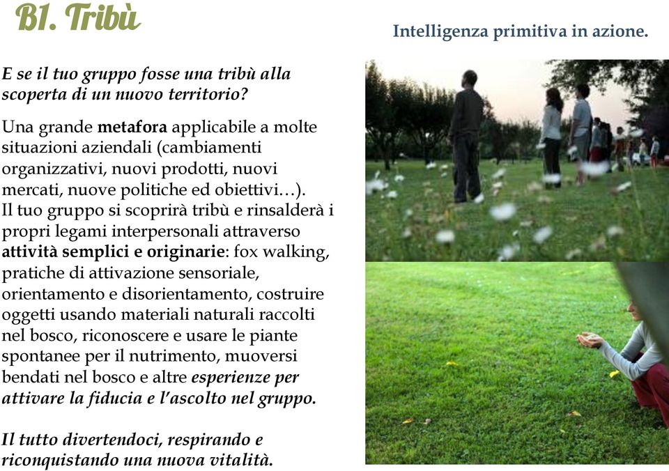 Il tuo gruppo si scoprirà tribù e rinsalderà i propri legami interpersonali attraverso attività semplici e originarie: fox walking, pratiche di attivazione sensoriale, orientamento e