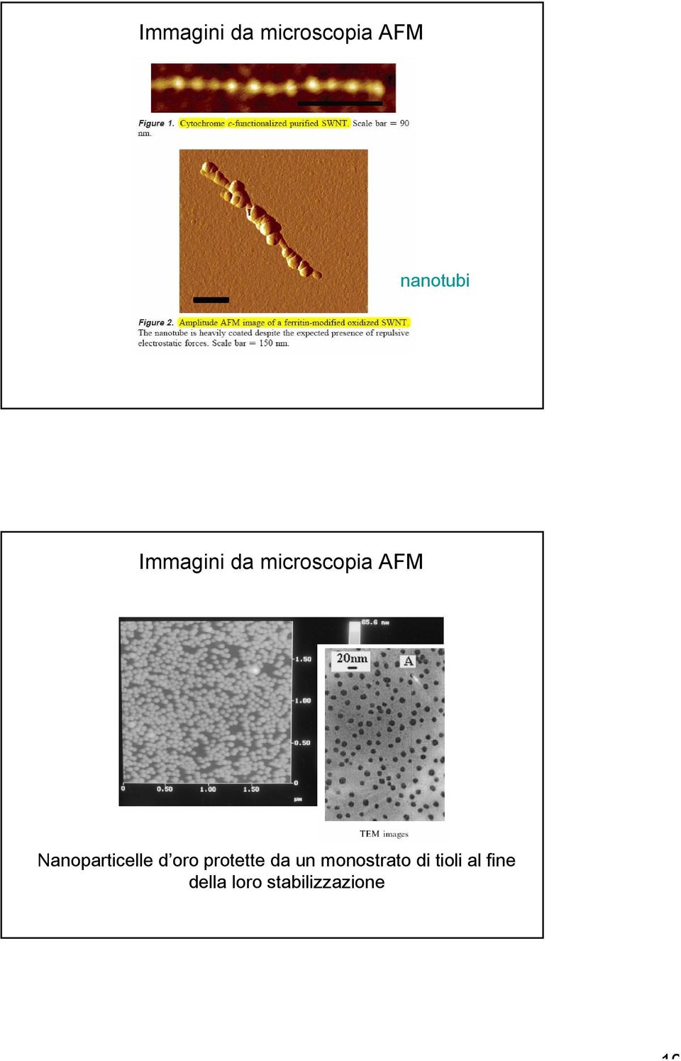 Nanoparticelle d oro protette da un
