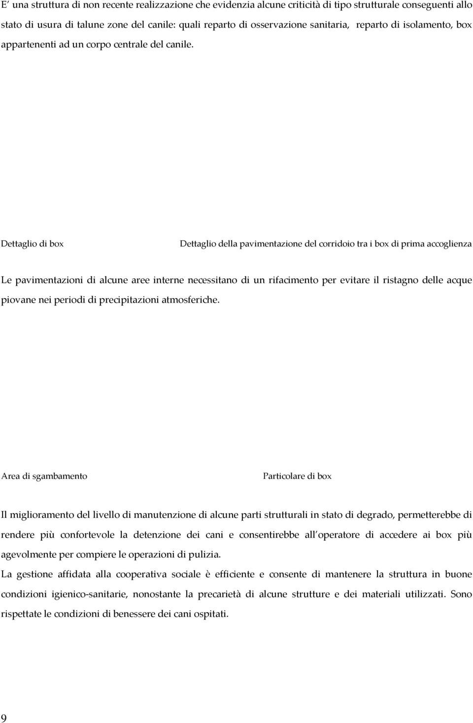 Dettaglio di box Dettaglio della pavimentazione del corridoio tra i box di prima accoglienza Le pavimentazioni di alcune aree interne necessitano di un rifacimento per evitare il ristagno delle acque