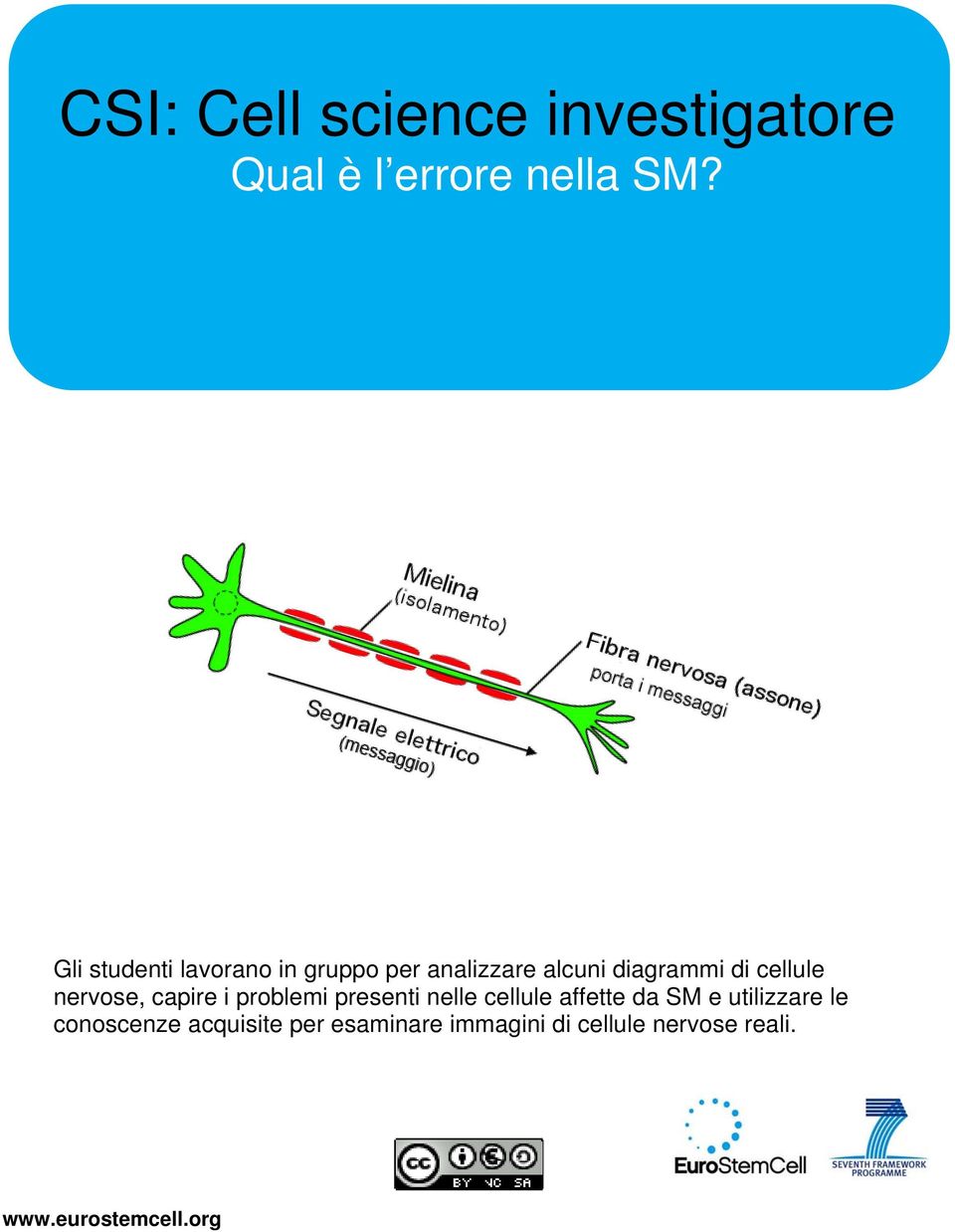 diagrammi di cellule nervose, capire i problemi presenti nelle