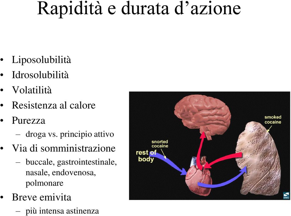 principio attivo Via di somministrazione buccale,