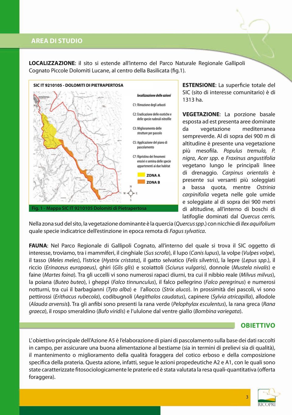 Al di sopra dei 900 m di altitudine è presente una vegetazione più mesofila. Populus tremula, P. nigra, Acer spp. e Fraxinus angustifolia vegetano lungo le principali linee di drenaggio.