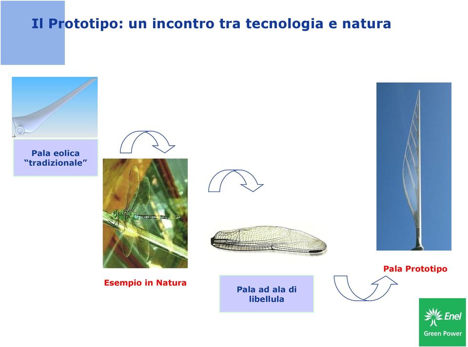 tradizionale Esempio in Natura