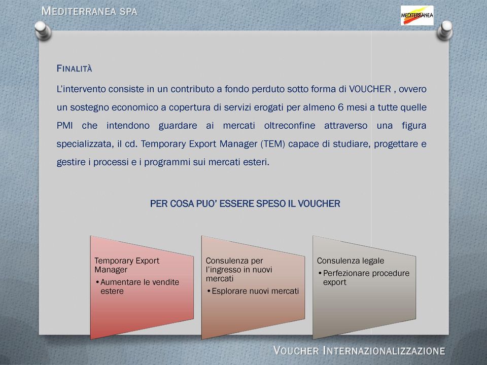 Temporary Export Manager (TEM) capace di studiare, progettare e gestire i processi e i programmi sui mercati esteri.