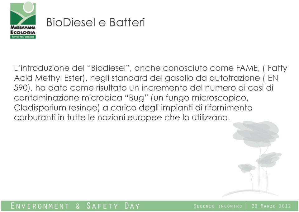 incremento del numero di casi di contaminazione microbica Bug (un fungo microscopico,