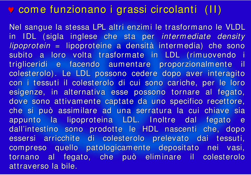 Le LDL possono cedere dopo aver interagito con i tessuti il colesterolo di cui sono cariche, per le loro esigenze, in alternativa esse possono tornare al fegato, dove sono attivamente captate da uno