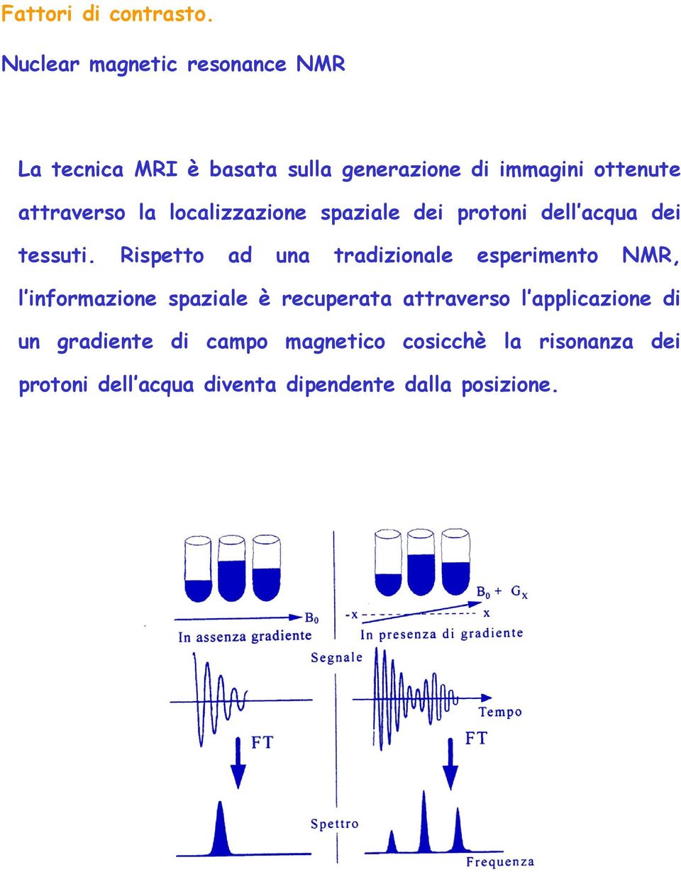 Rispetto ad una tradizionale esperimento NMR, l informazione spaziale è recuperata