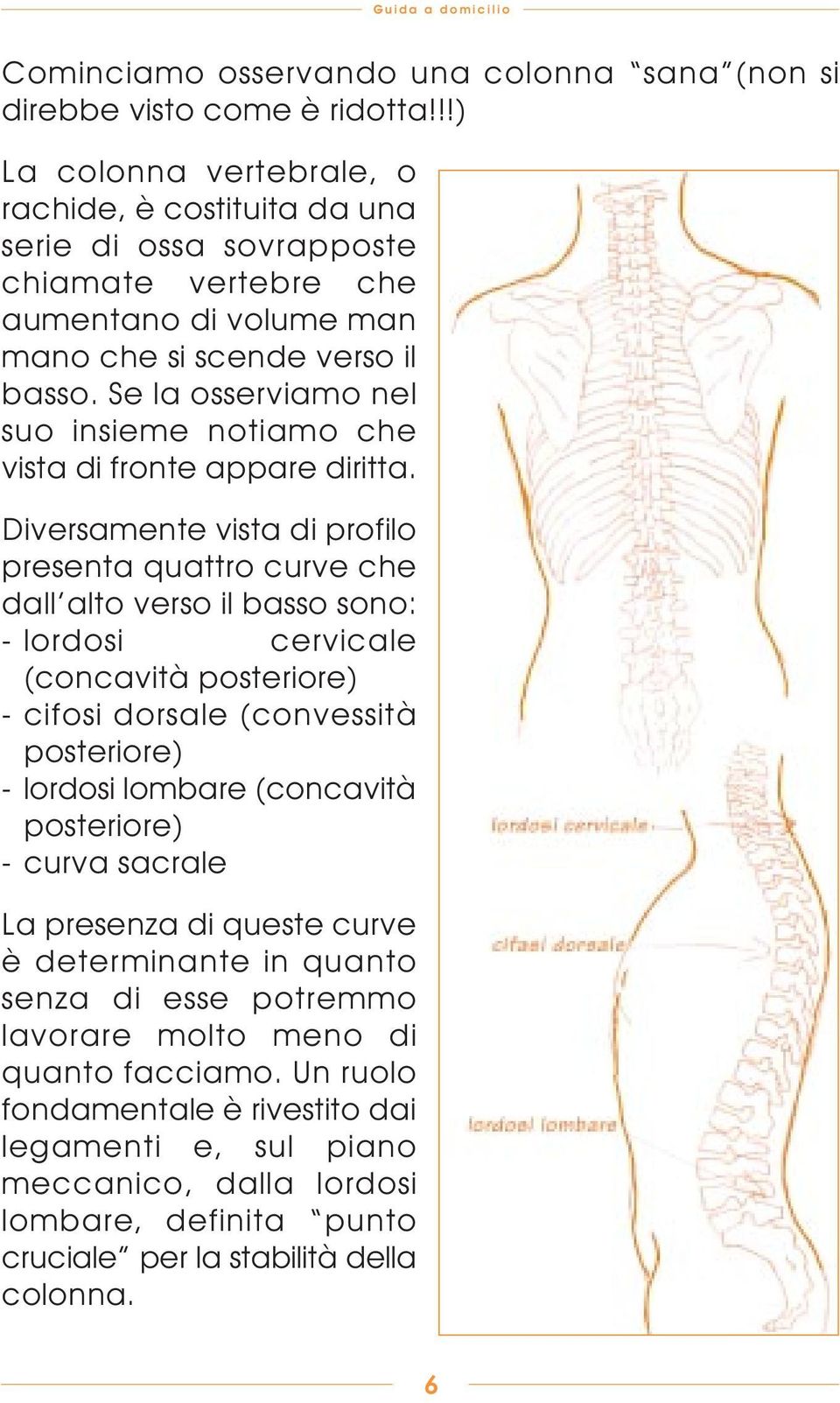 Se la osserviamo nel suo insieme notiamo che vista di fronte appare diritta.