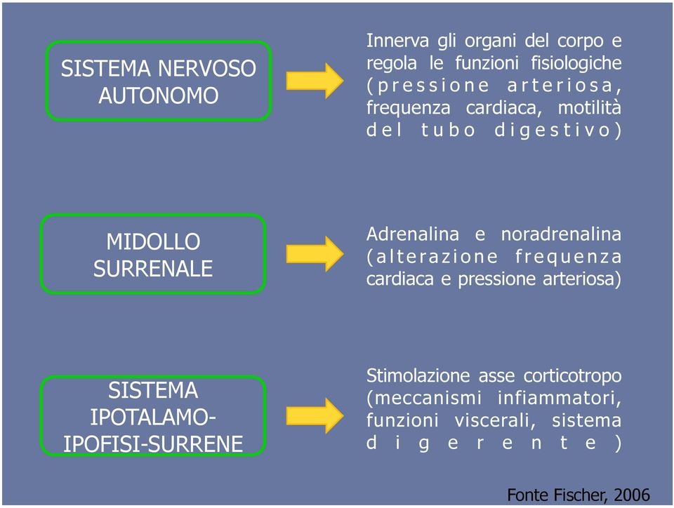 noradrenalina ( a l t e r a z i o n e f r e q u e n z a cardiaca e pressione arteriosa) SISTEMA IPOTALAMO-