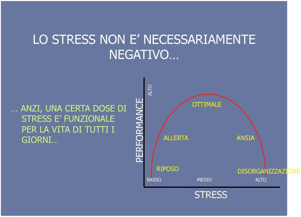 VITA DI TUTTI I GIORNI PERFORMANCE ALLERTA