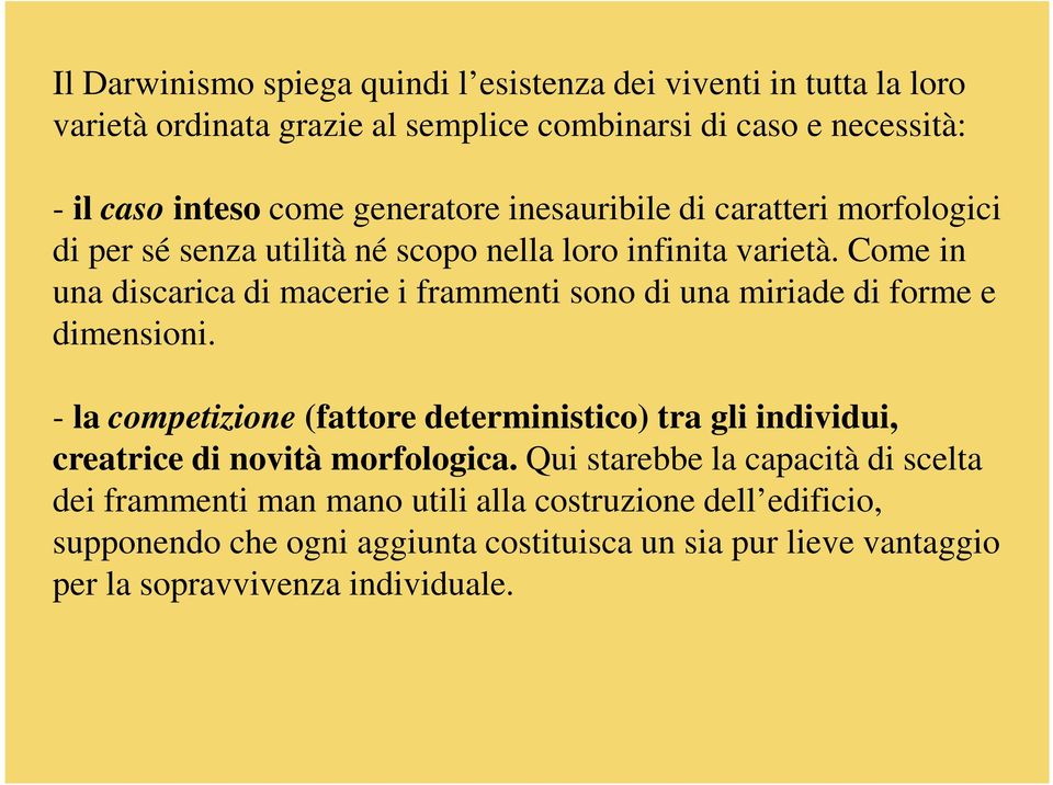 Come in una discarica di macerie i frammenti sono di una miriade di forme e dimensioni.