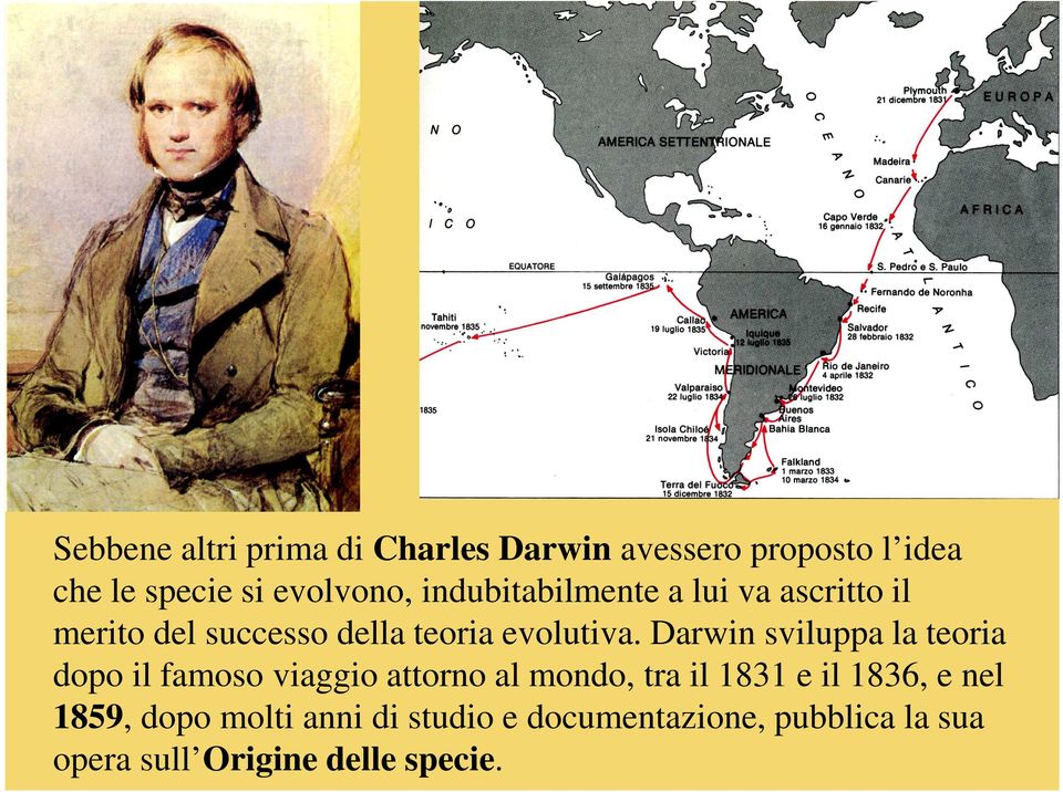 Darwin sviluppa la teoria dopo il famoso viaggio attorno al mondo, tra il 1831 e il 1836, e