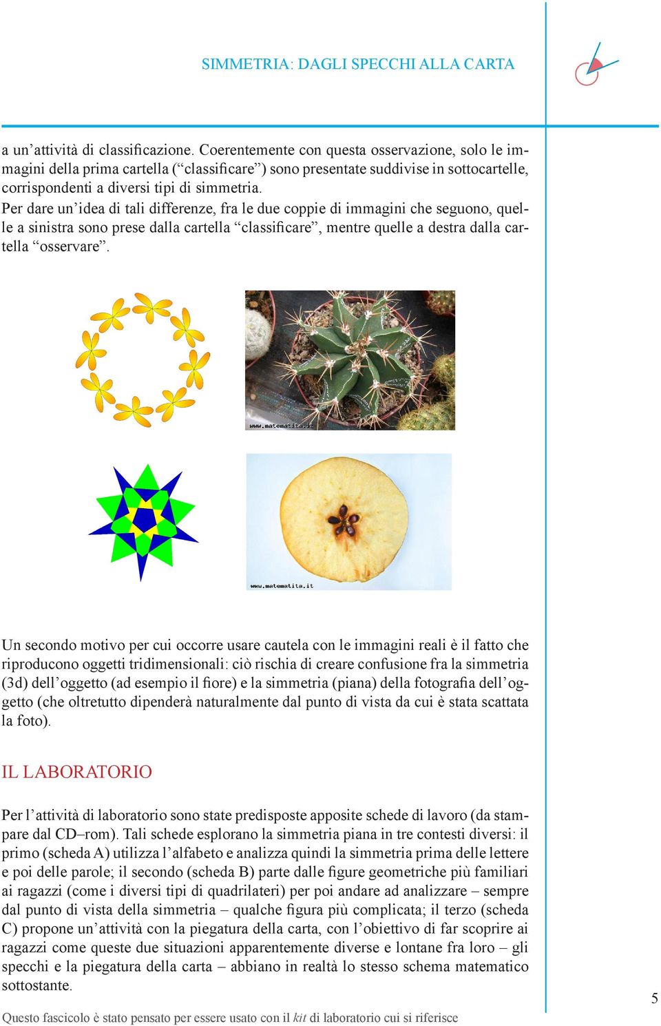 Per dare un idea di tali differenze, fra le due coppie di immagini che seguono, quelle a sinistra sono prese dalla cartella classificare, mentre quelle a destra dalla cartella osservare.