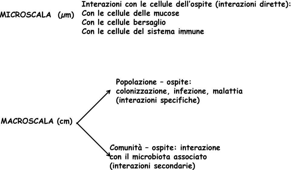 Popolazione ospite: colonizzazione, infezione, malattia (interazioni specifiche)