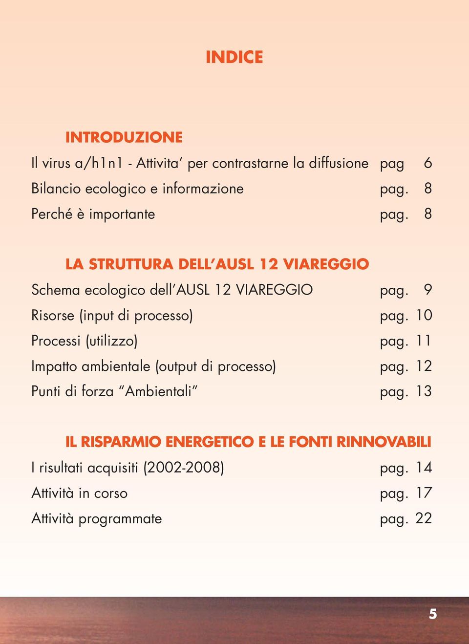 9 Risorse (input di processo) pag. 10 Processi (utilizzo) pag. 11 Impatto ambientale (output di processo) pag.