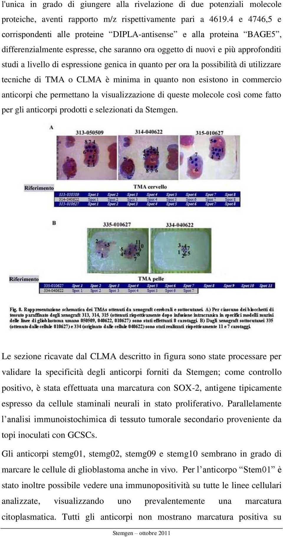 in quanto per ora la possibilità di utilizzare tecniche di TMA o CLMA è minima in quanto non esistono in commercio anticorpi che permettano la visualizzazione di queste molecole così come fatto per