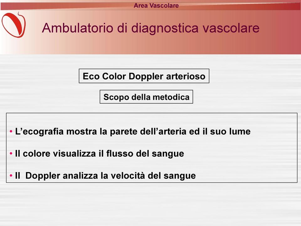 visualizza il flusso del sangue Il